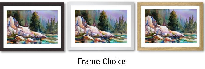 Frame Choice Frame Choice